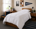 Down Alternative Duvet