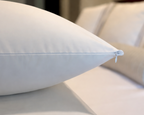 Pillow Protector