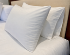 Pillow Protector