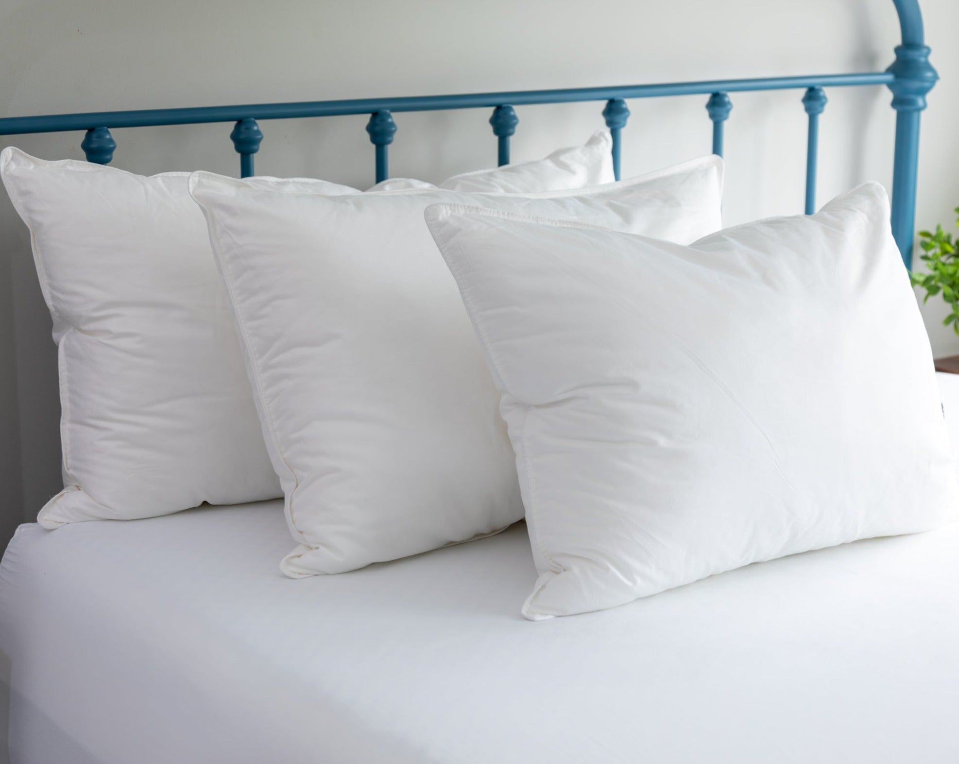 Gold Classic Pillow